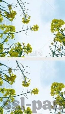 九游阴阳师官网下载-九游阴阳师官网下载，畅享极致游戏体验