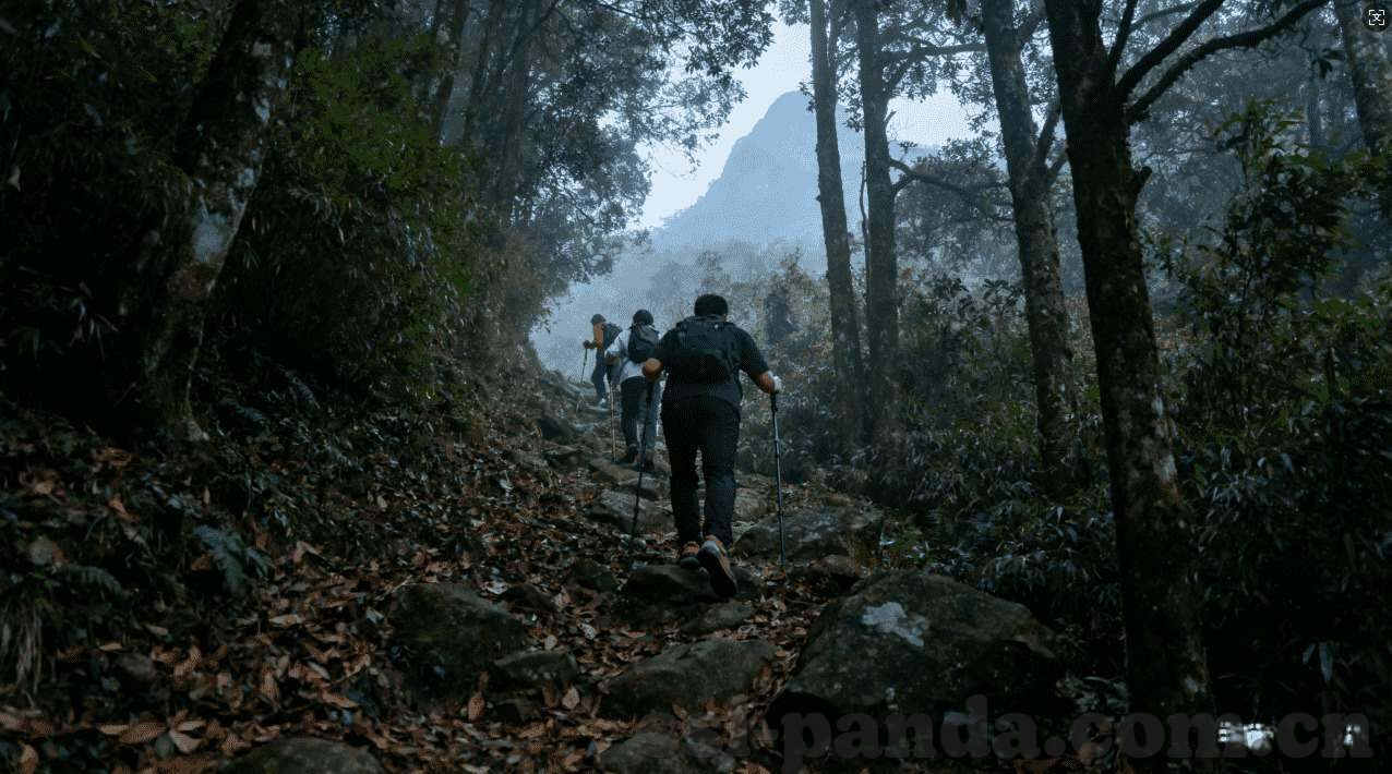 手机游戏水果机下载-手机游戏水果机下载，娱乐新选择，休闲好伴侣
